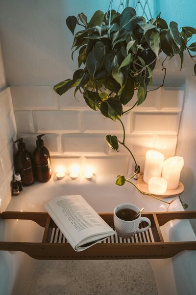 une baignoire avec une plante