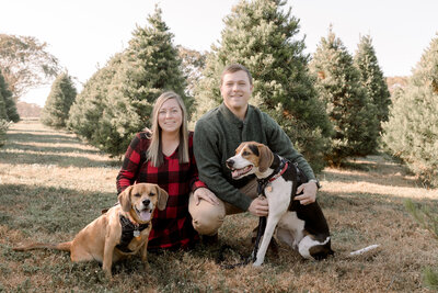 tree_farm_mini_ashleyhessephotography-1