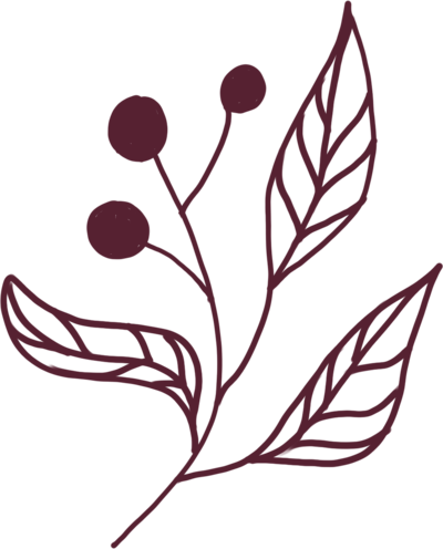 Floral graphic for Petal Barn