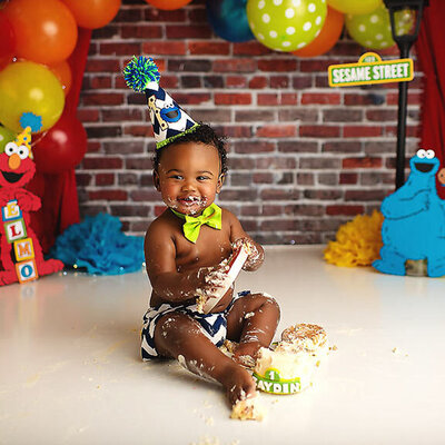 Sesame Street Smash Cake First Birthday Photography session CT Smash Cake Photographer Elizabeth Frederick Photography