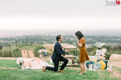 Man gets down on one knee and proposes to his girlfriend with their special moments surrounding them and a great view