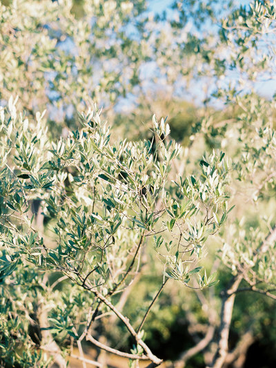 Italy-Film Edited-0060