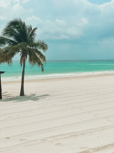 A single palm tree stands on a pristine, sandy beach with calm turquoise waters in the background. The beach stretches out under a partly cloudy sky, creating a peaceful tropical scene.