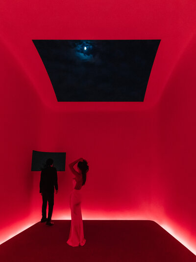 011-For-the-Love-of-It-Sheats-Goldstein-James-Turrell-Wedding-Portraits
