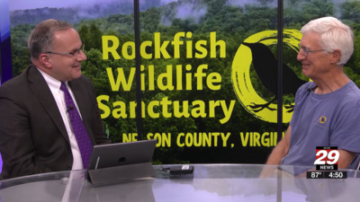A white man wearing a green RWS shirt and brown glasses sits at the NBC29 newsdesk. Text across the image says "Adam Miller, Rockfish Wildlife Sanctuary Board Member."