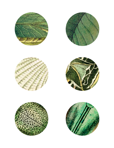 St. Patrick’s Day Nature Pattern Match — card set 2