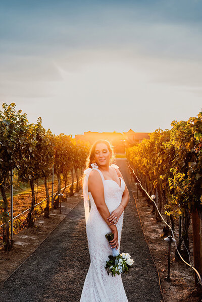 a bride during sunset in the middle of a vineyard