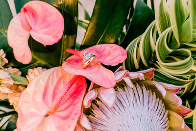 Pink anthurium and protea bridal bouquet on Maui