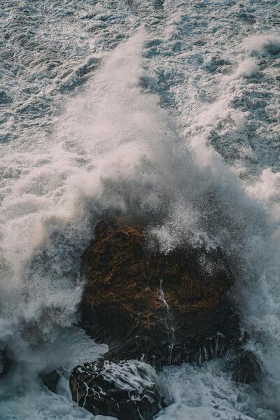 wild ocean photo