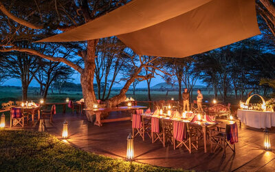 Dining under the night sky