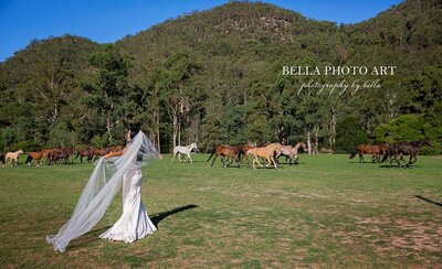 bride twirling during the running of the horses  at glenworth valley