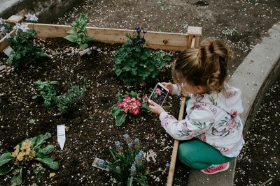 Affordable early childhood education in East Dallas featuring a little girl planting flowers in a garden at Bella Gardens, Dallas, TX.