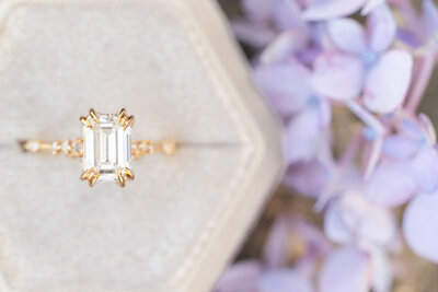 Ariana & Franc - Proposal-7219
