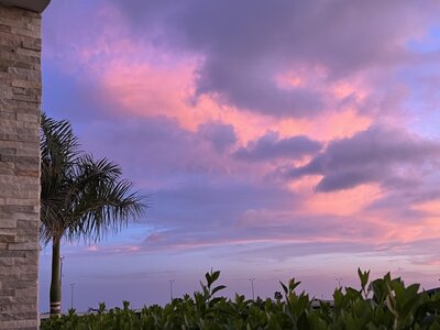 IMG_6124