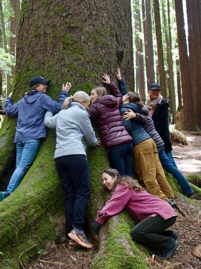 advanced-yoga-training-ancient-redwood-embrace