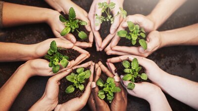 Hands holding soil with a small plant growing, symbolizing renewal and transformation in menopause.