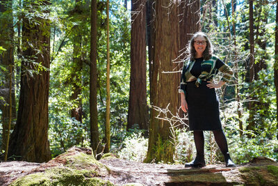 redwoods in forest with sunlight on mossy ground