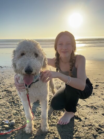 Cream colored goldendoodle posing with young girl on a beach