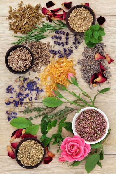 carole-anaya-doula-naturopathe-maternité-aix en provence