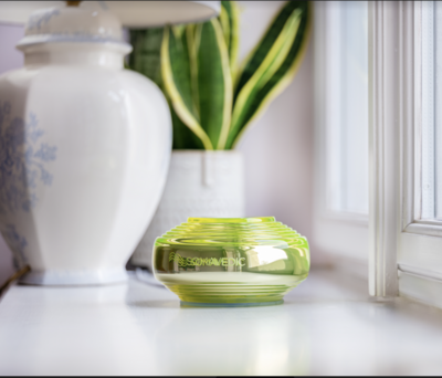 Avocado Mattress | The Hive