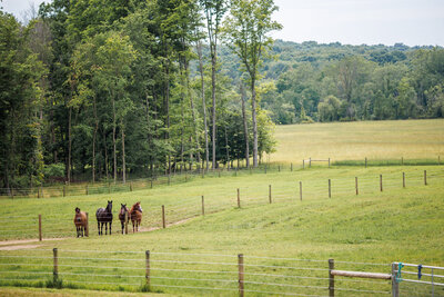 creekside47
