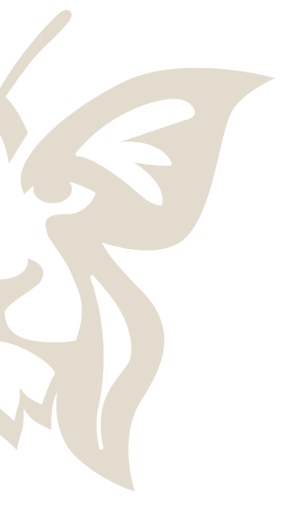 CT Sport & Performance Consulting Logo