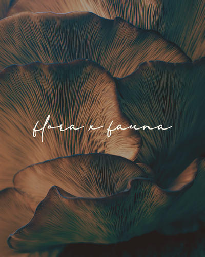 An abstract design showcasing rich brown and green tones with the text "Flora x Fauna," emphasizing the brand’s focus on natural, earthy skincare solutions.