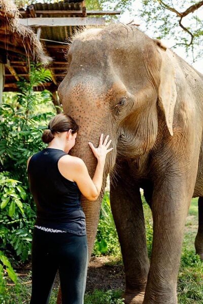forehead-to-forehead-with-elephant-thailand