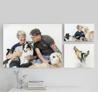 San Francisco pet photography