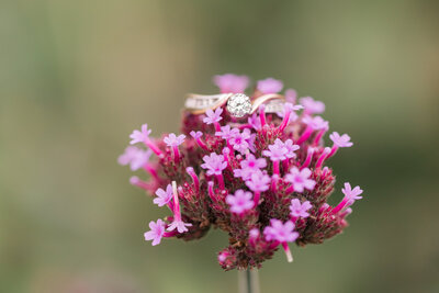 Jennifer B Photography-Ithaca-NY-Engagement Session-Davey and Katie-2020-0258