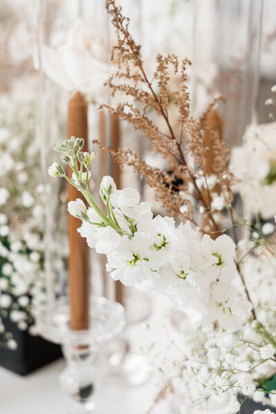 white flowers with brown taper candle and dried flowers