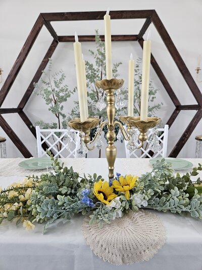 Diamond Springs wedding and event venue logo