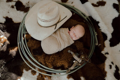 western newborn