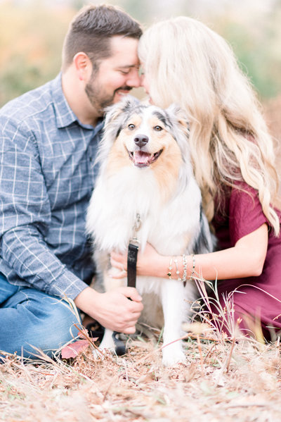 traverse city michigan family photographer