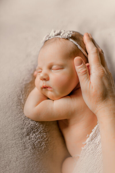 traverse city family photographers