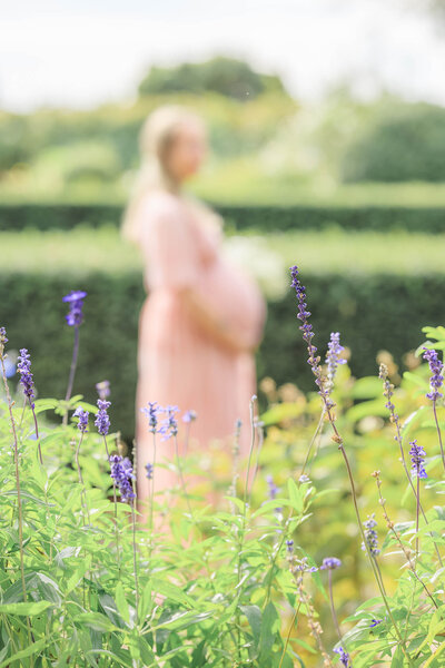 Matted print photos of a mother and her two daughters playing in a rose garden under the golden evening sun.