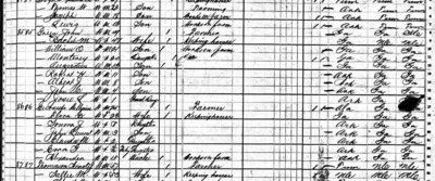 1880 Census-John W. Green (zoom)