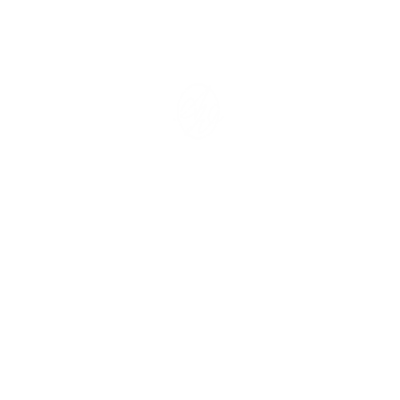 Alex Wolf North Carolina wedding and lifestyle photographer.