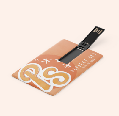 Modern USB Mockup with Perfect Sky branding on it