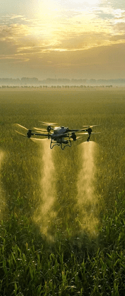 Agriculture Aerial Application with Drone and Raven 6 Rising