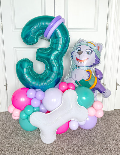 balloons-bismarck-nd-147