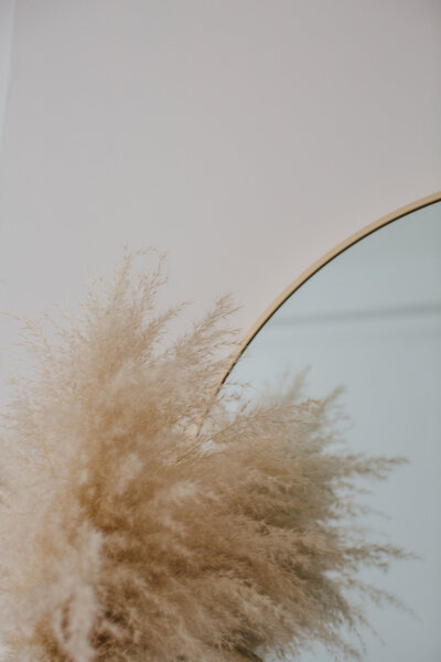 Pampas grass and a mirror