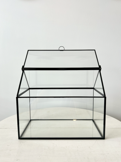 Screenshot 2025-09-17 at 3.15.49 PM