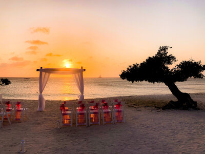 Aruba