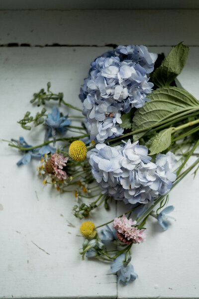 Stems of flowers for a bouquet set on table