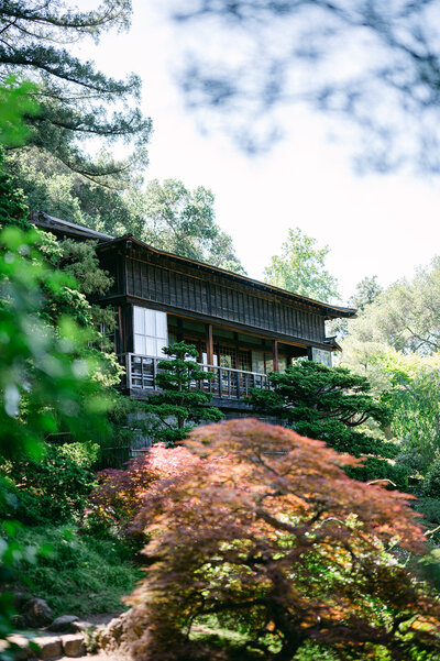 studio-dukesa-amy-huang-fine-art-destination-wedding-film-photography-showit-design-partner-hakone-9