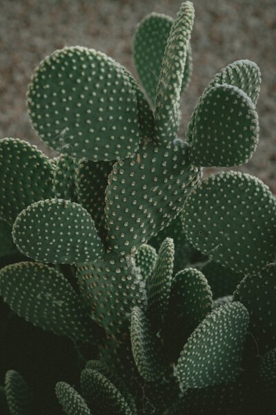 jakob-owens-Vh-L1o2FQ2s-unsplash