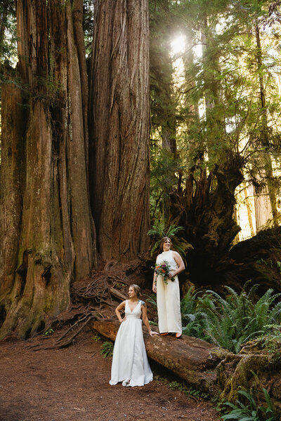 Couple saying their vows on the Oregon coast 