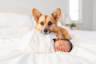 mom in a blue and white dress on her bed kissing her newborn's cheek