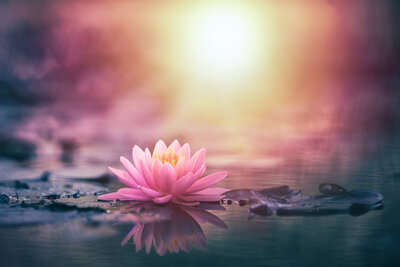 Therapist in my area Delray Beach (33444, 33445, 33482, 33483, 33484)